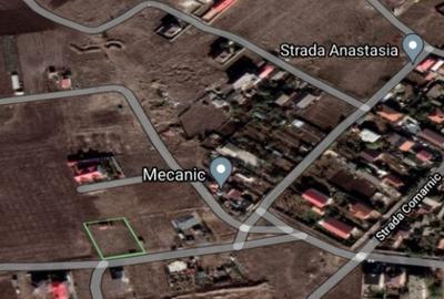 Viile noi . comarnic colt cu Fantanele - 2