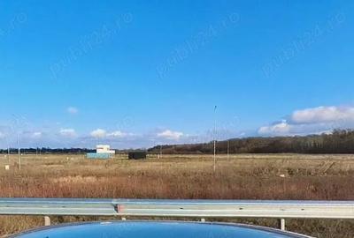 Teren de 660 mp, în Ghiroda - 1