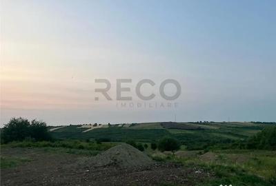 Teren de 903 mp, în Paleu - 4