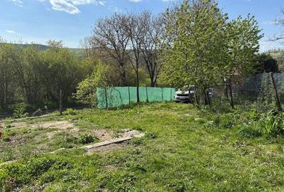 Casă cu 4 camere cu Teren 4000 Mp în Valea Popii (Mihăești) - 7