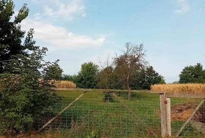 Casă cu 3 camere în Central - 2