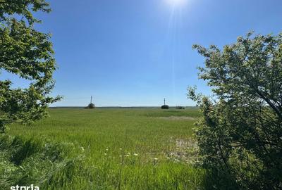 Teren de 12500 mp, în Corbii Mari - 4