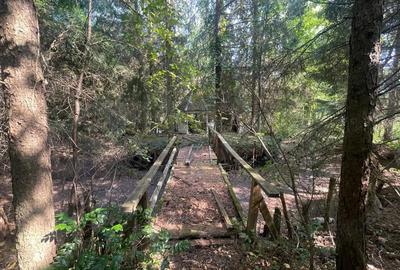 De vanzare casa cu teren intravilan Ro?ia Noua, comuna Petri?, jud. Arad - 11