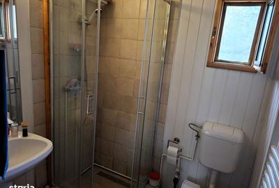 Casă cu 4 camere cu Teren 7017 Mp în Făget - 10
