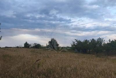 Teren de 2930 mp, în Păulești - 2