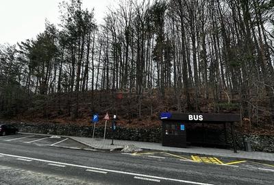 Teren Construcții intravilan de 1700 mp, în Castelul Peleș - 27