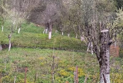 Casă cu 2 camere cu Teren 1628 Mp în Central - 3