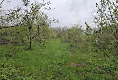 Teren de 3000 mp, în Predeal - 8