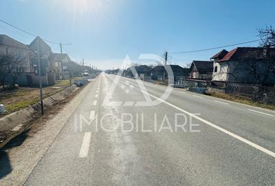 Teren Construcții intravilan de 984 mp, în Drăguțești - 2