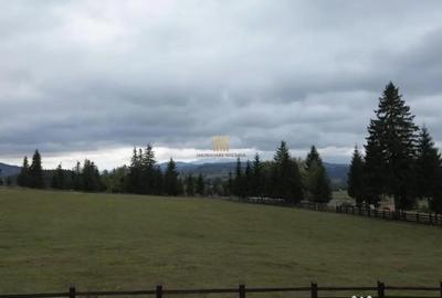 Teren de 16813 mp, în Fundu Moldovei - 12