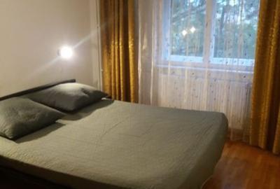 Apartament cu 2 camere, mobilat în Dacia - 5
