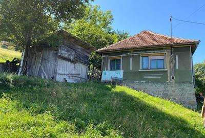 RECO Casa cu teren in Damis zona Valea Bratcutei - 7
