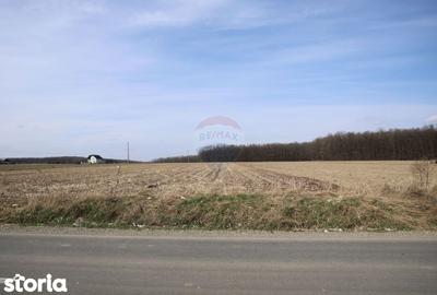 Teren de 9740 mp, în Bosanci - 9