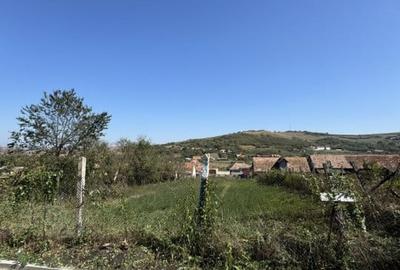 Teren intravilan de vanzare | 1352 mp | Comuna Pauca - 2