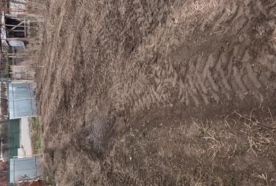 Spațiu comercial, în Șirna - 1