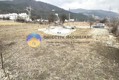 TEREN cu temelie ciment  PANGARATI - STEJARU - 3