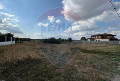 Teren intravilan 577 mp Vladimirescu - 5