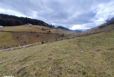 Spațiu comercial, în Bran - 3