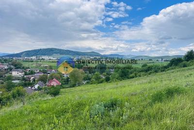 Teren intravilan Piatra-Neamt- cartier Ciritei - 6