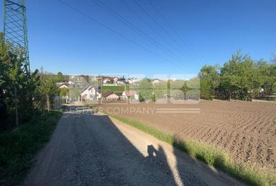 Teren agricol intravilan de 1610 mp, în Sfântu Ilie - 4