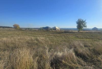 Teren 1000mp ,la intrarea in Filiasi - 8