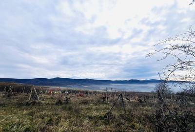 Spațiu comercial, în Șiria