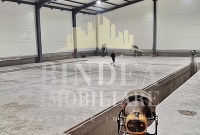 Spațiu industrial, de 600 mp, în Giarmata - 1
