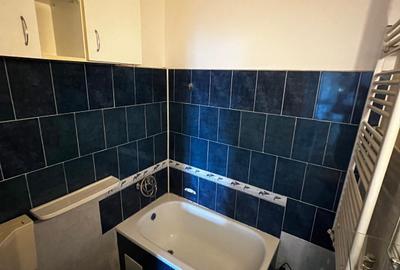 Plevnei, Cismigiu Amenajat,2 bai,centrala,Liber - 5