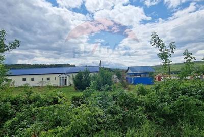 Teren  intravilan in sat Zapodia, com. Traian, jud. Bacau, 36.200mp, - 11