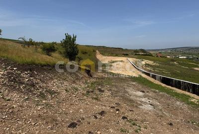 Teren 455mp Sub Coasta / Strada Principala