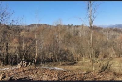 Teren de 1250 mp, în Exterior Vest