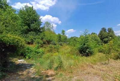 Resita, Terenuri Intravilane 2000 Mp., 28 Euro/Mp., Calea Ca - 6