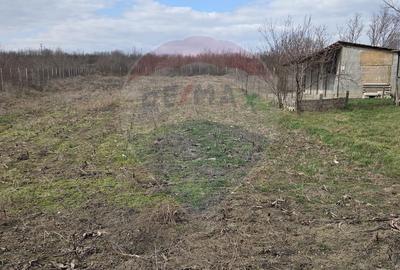 Casă cu 4 camere cu Teren 614 Mp în Ștefănești - 2