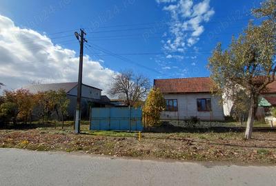 Casa de vanzare + gradina in sat Zagujeni - 1