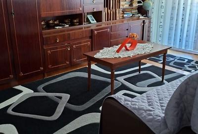 Apartament cu 3 camere decomandat în Dosu Bricii - 8