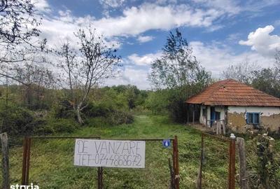 Teren de 3661 mp, în Morărești