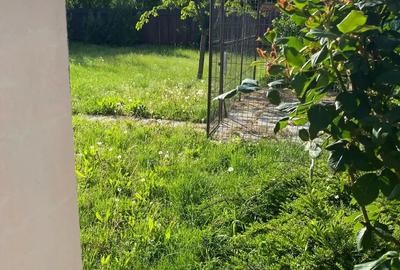 Vand casa Braytim - 1