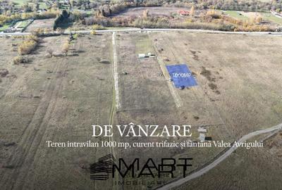 Teren 1000 mp, curent trifazic si fantana  Valea Avrigului - 1