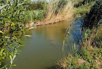 Casă cu 6 camere în Voinești - 2