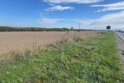 Teren extravilan 2 ha de vanzare in comuna Sacadat - judetul Bihor - 3