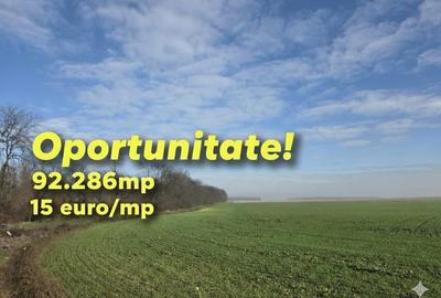 Teren agricol extravilan de 92286 mp, în Fundeni - 1