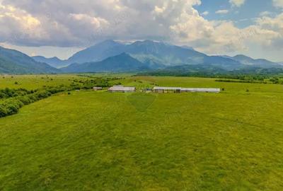 Teren 10,800mp Rasnov / Drumul DN73 - 3