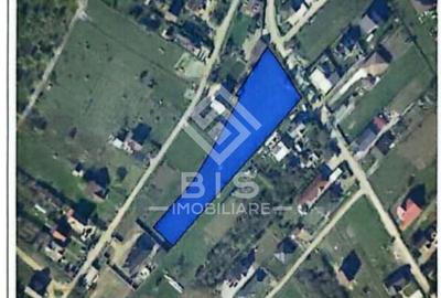 Teren cu suprafata 5300 mp intravilan - 7