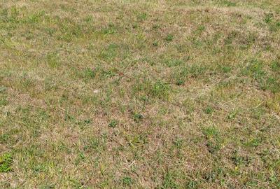 Teren de 2112 mp, în Filpea - 1