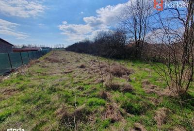 Spațiu comercial, în Parța - 7