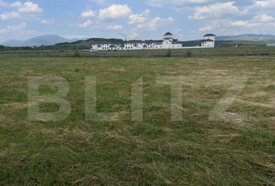 Teren extravilan 1200 mp Dorolea, aproape de Manastire - 3