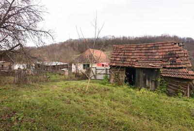 RECO Casa de vacanta la Holod- langa padure- teren 2190mp - 11