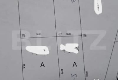 Teren de 10000 mp, în Nufărul - 1