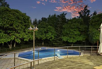 Casă individuală cu 10 camere cu Piscina în Iancu Nicolae - 2