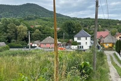 Teren Construcții intravilan de 2000 mp, în Valea Borcutului - 2